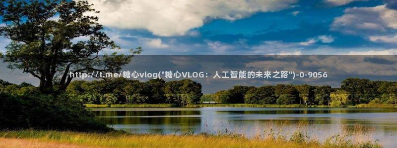 糖心vlong：http://t.me/糖心vlog(\